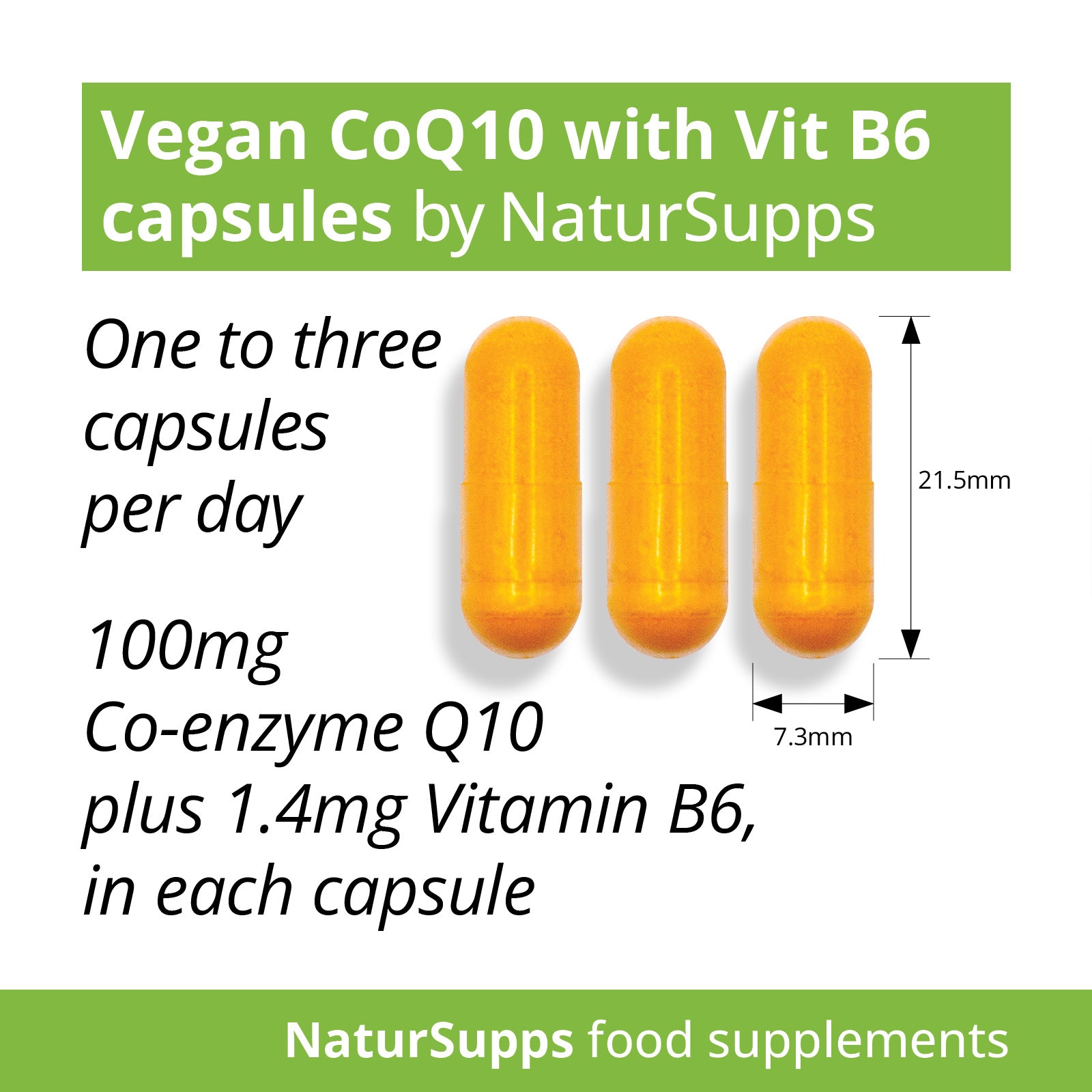 Vegetarian Co Enzyme Q10 100mg